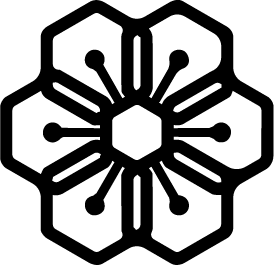 Təşkilatçı